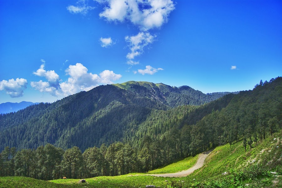 Jalori Pass - Photo 2