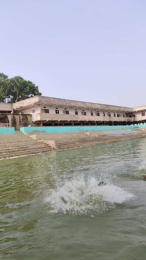 Kusheshwar Asthan Bird Sanctuary - Photo 2