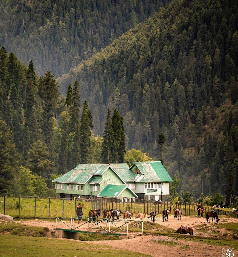 Aru Valley - Photo 2