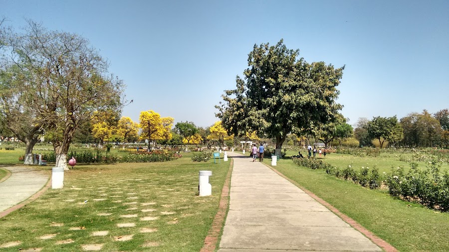 Rose Garden - Photo 2