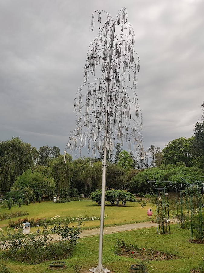 Rose Garden - Photo 3