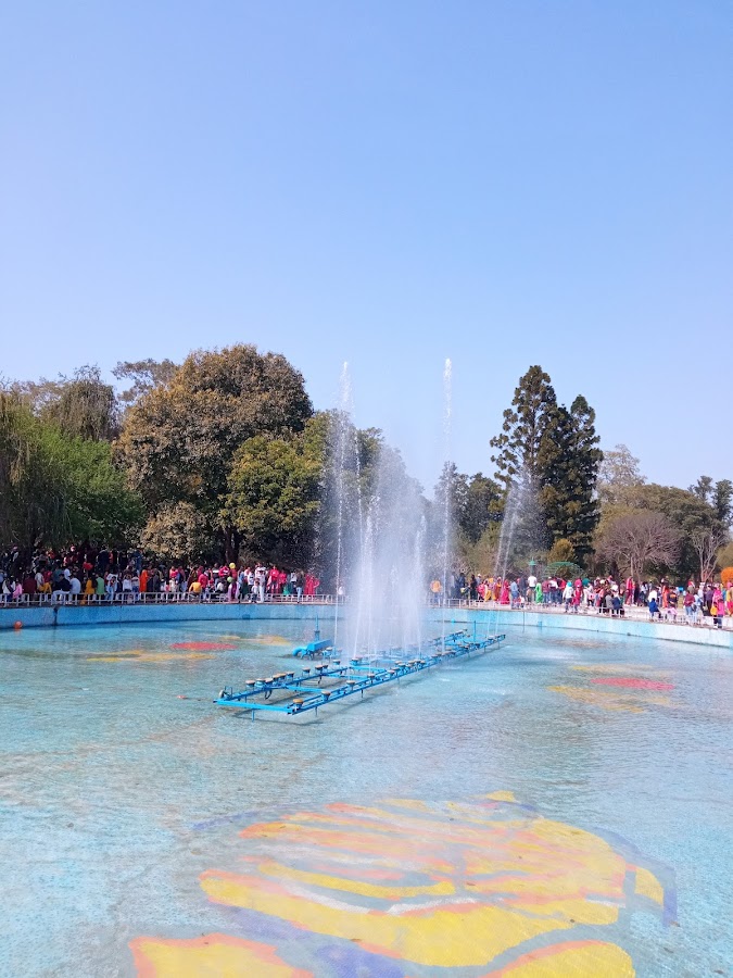 Rose Garden - Photo 2