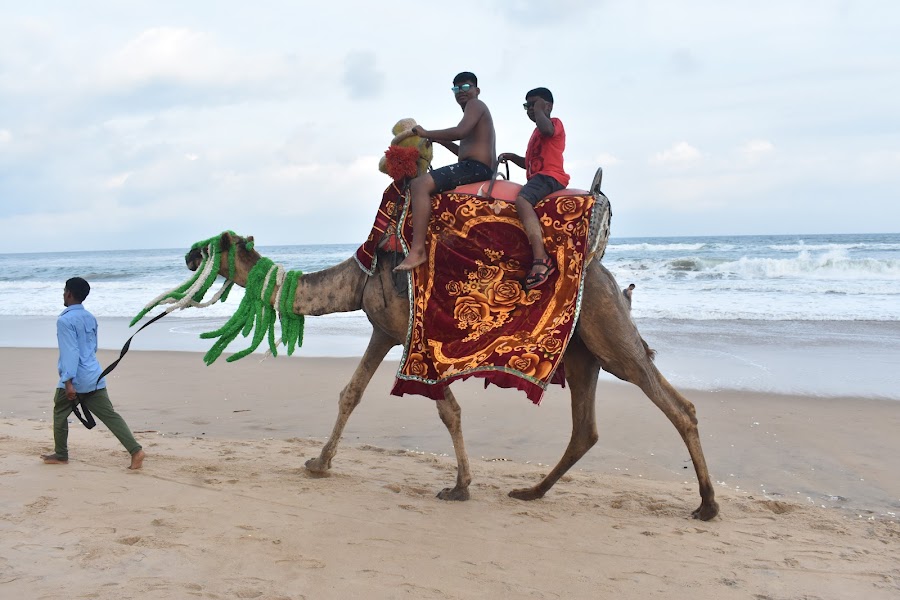 Puri Beach - Photo 3