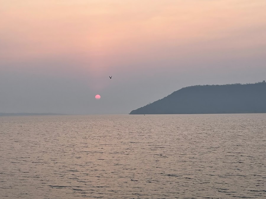 Pakhal Lake - Photo 3