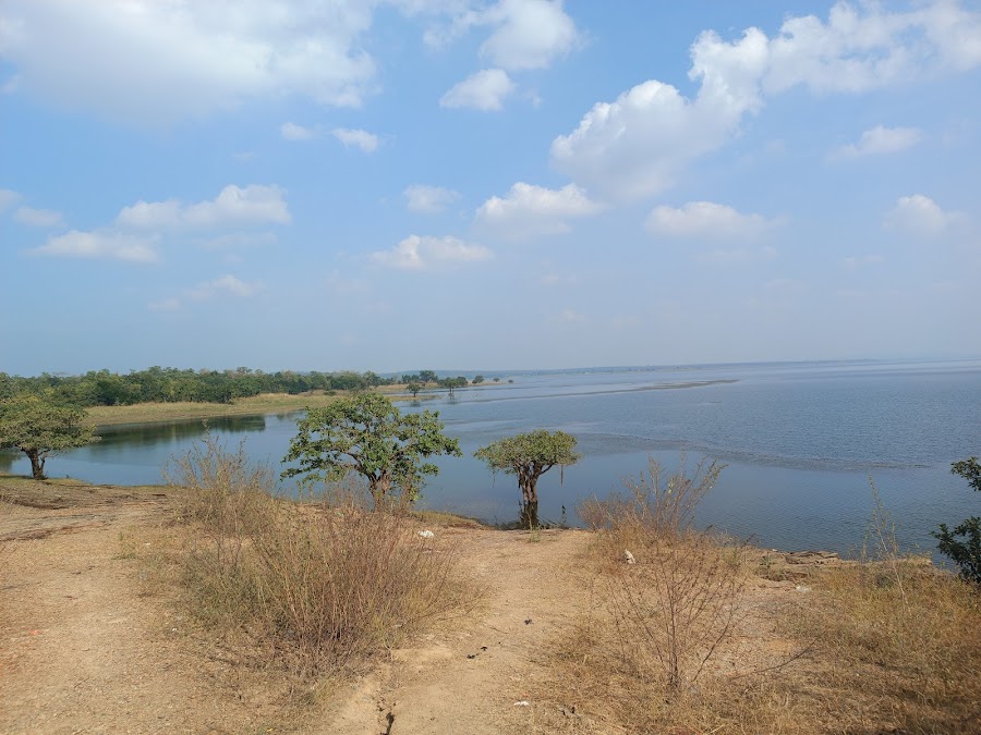 Pakhal Lake - Photo 8