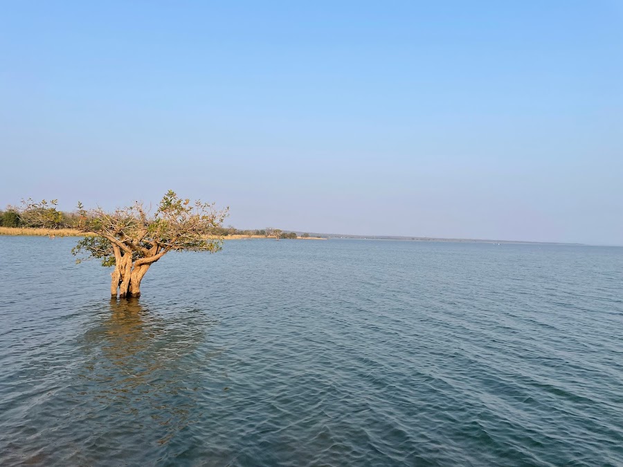 Pakhal Lake - Photo 5