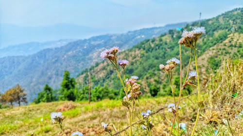 Champawat - Photo 3