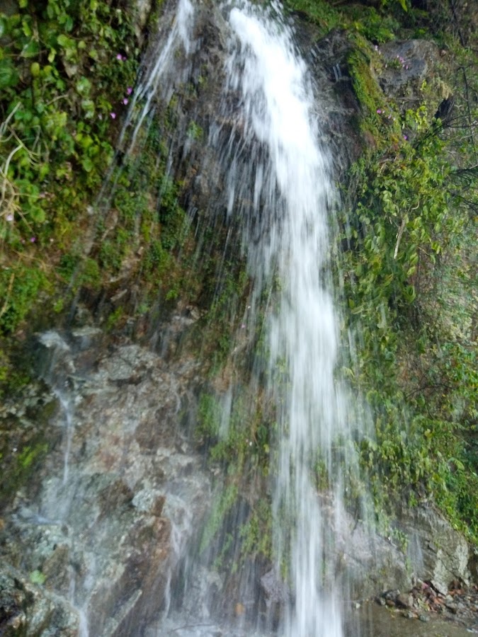 Hapoli - Photo 3