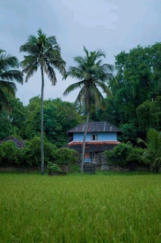 Palakkad - Photo 3