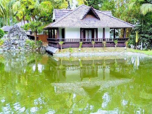 Palakkad - Photo 2
