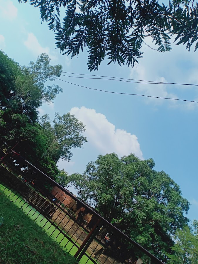 Geruwa Talab - Photo 3