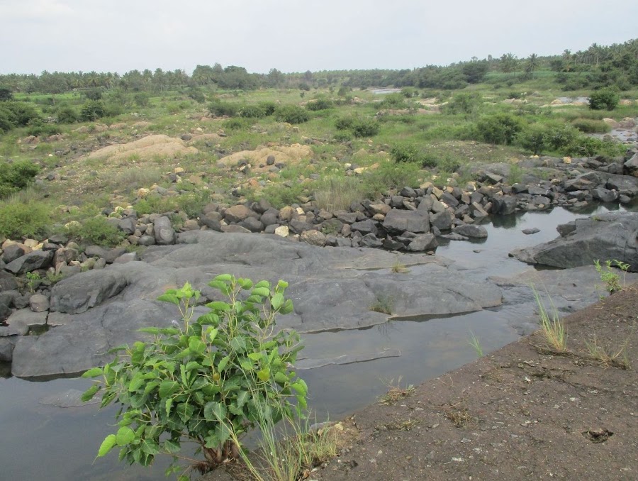 Hemavathi River - Photo 3