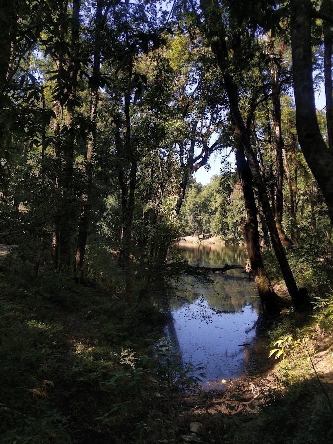 Nachiketa Tal - Photo 8