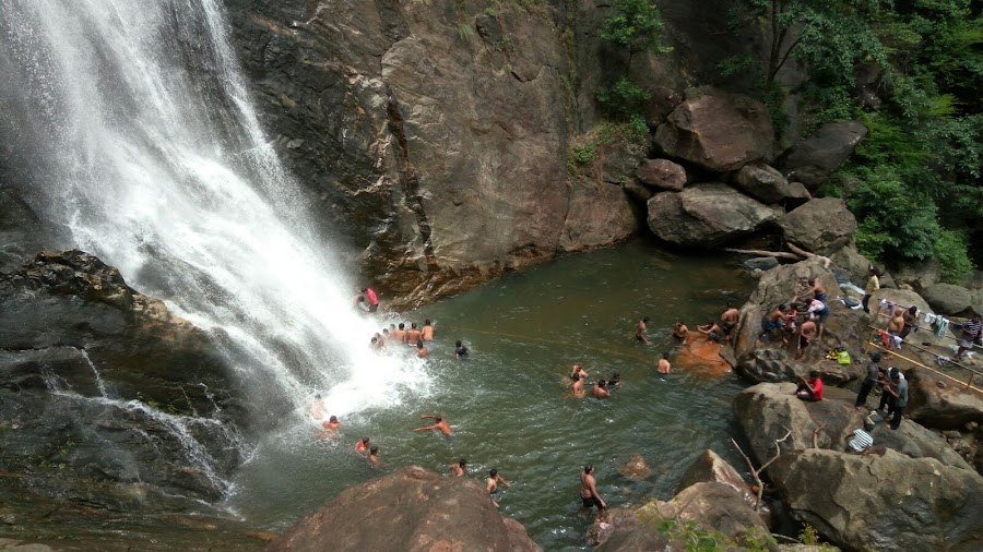 Palaruvi Waterfalls - Photo 3