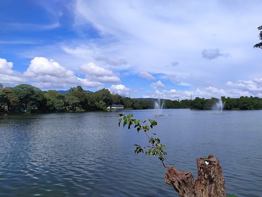 Tata Steel Zoological Park - Photo 4