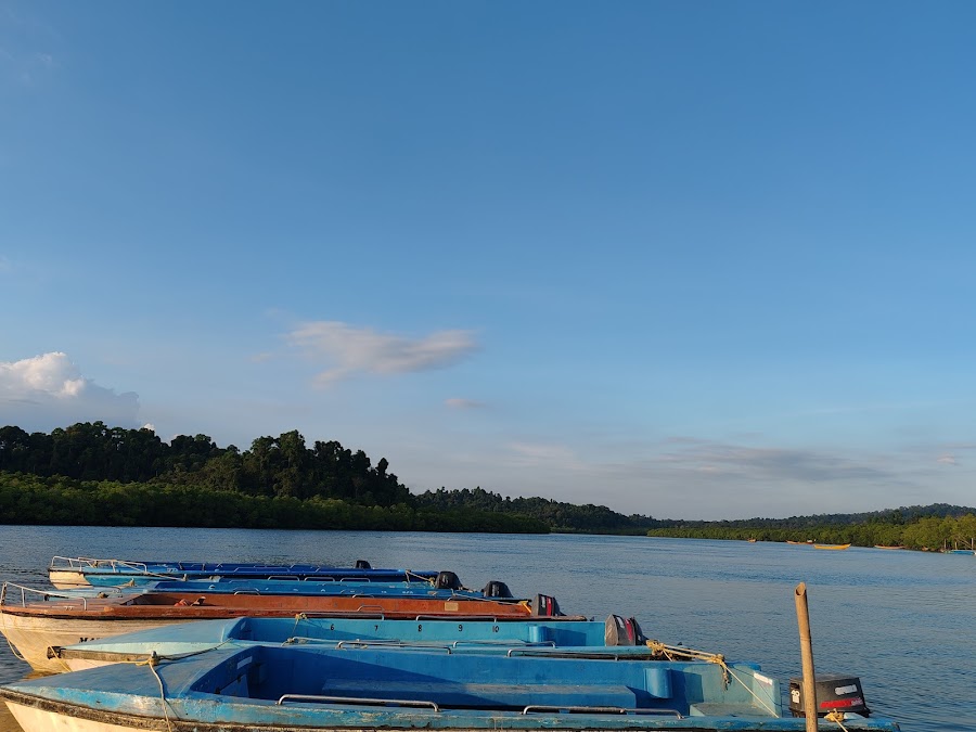 Parrot Island - Photo 4