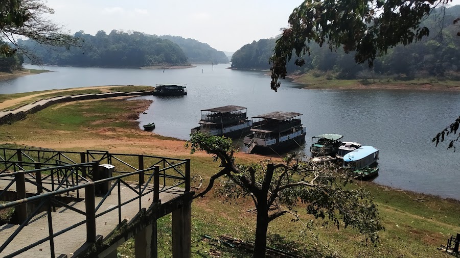 Periyar National Park - Photo 2