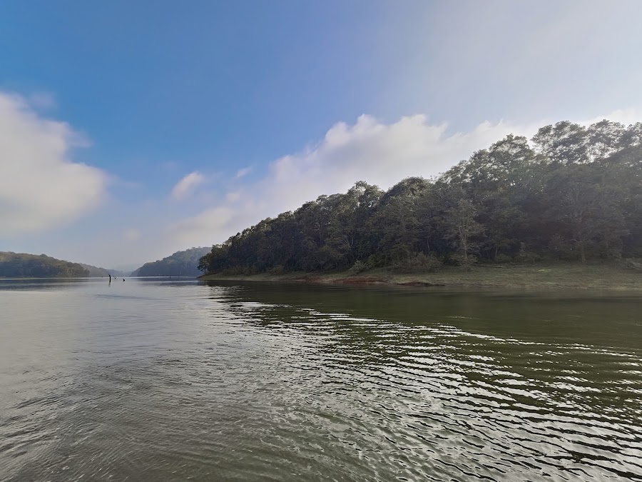 Periyar National Park - Photo 3
