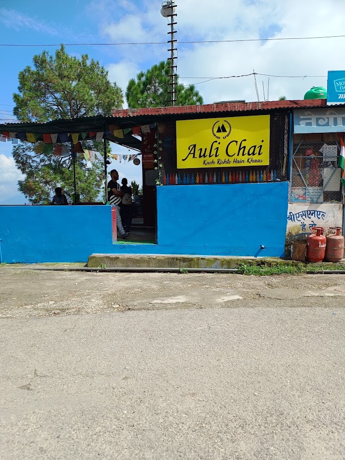 Auli - Photo 6