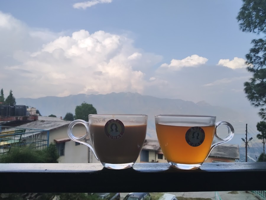Auli - Photo 4