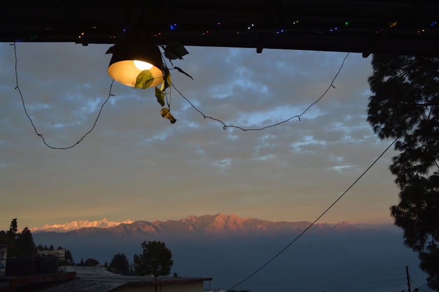Auli - Photo 8