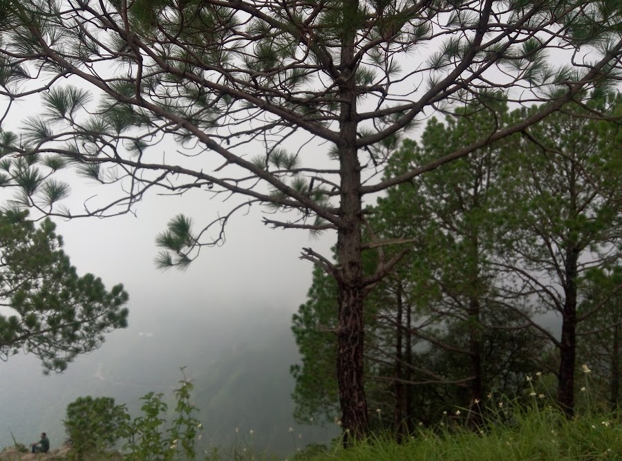 Lovers Lane - Photo 3