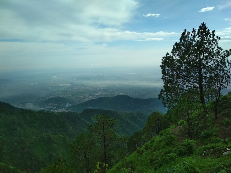 Lovers Lane - Photo 2