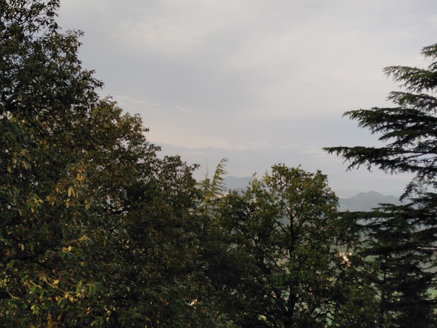 Lovers Lane - Photo 4