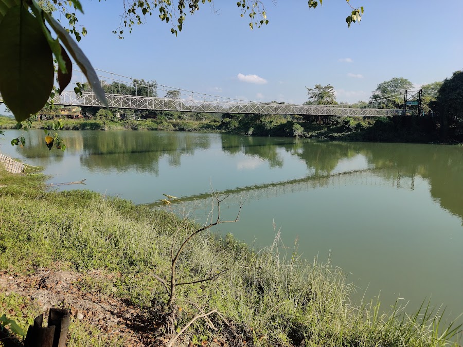 Pobitora Wildlife Sanctuary - Photo 2