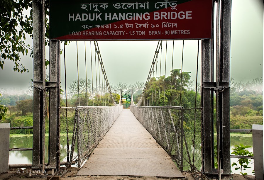 Pobitora Wildlife Sanctuary - Photo 4
