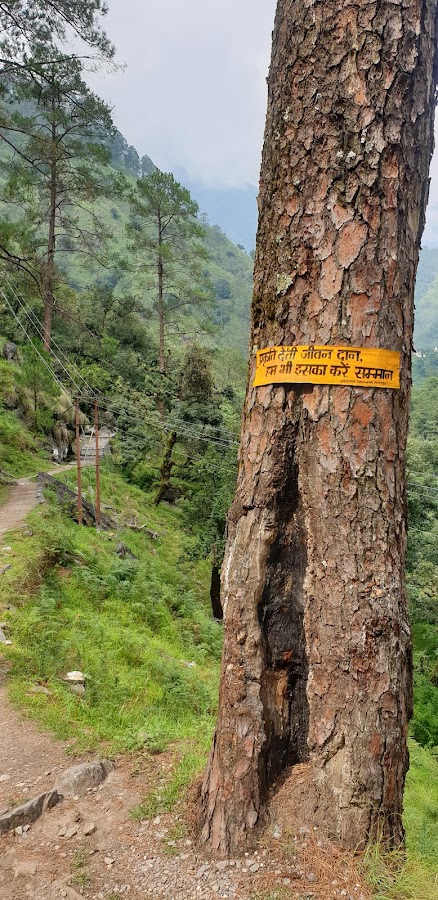 Madhyamaheshwar Temple - Photo 3