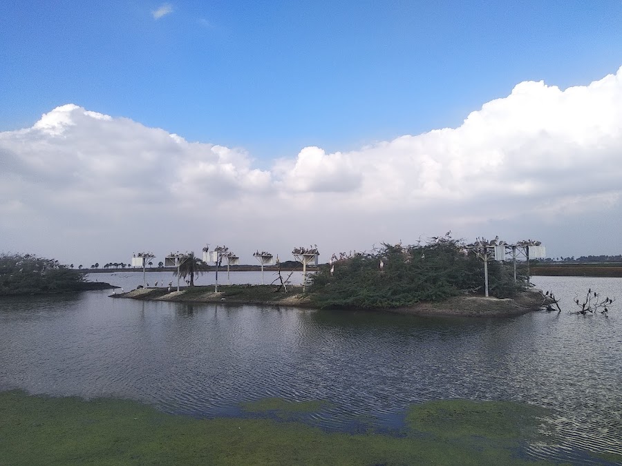 Kolleru Lake - Photo 3