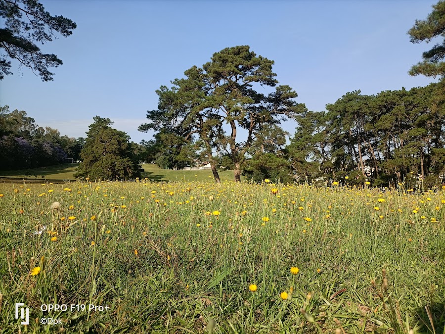 Shillong Golf Course - Photo 3