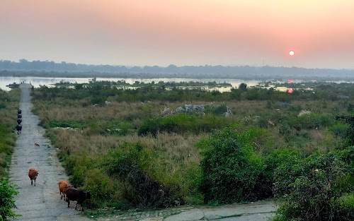 Sambalpur - Photo 5