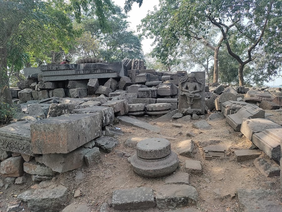 Bamuni Hills - Photo 3
