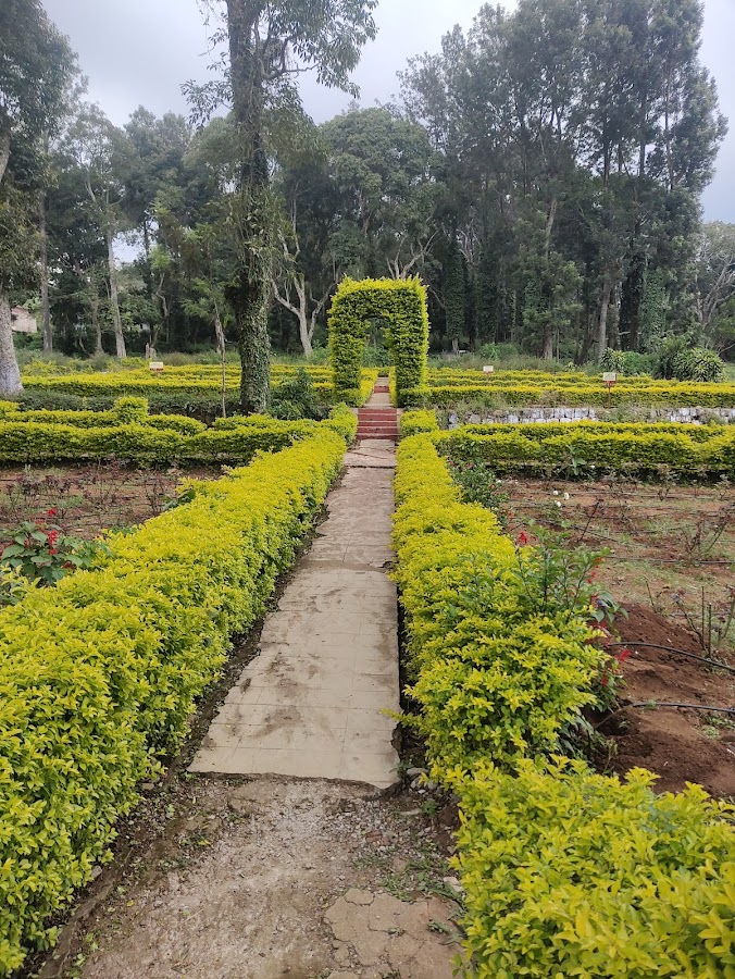 Rose Garden - Photo 2