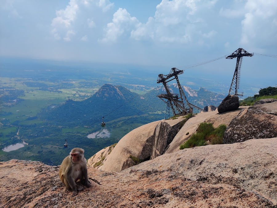Trikut Pahar - Photo 3