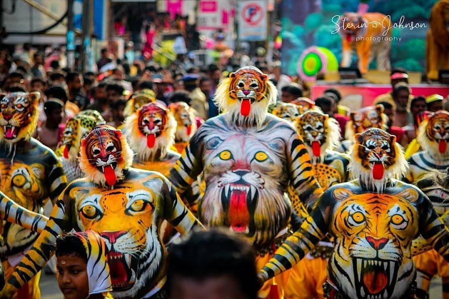 Thrissur - Photo 5