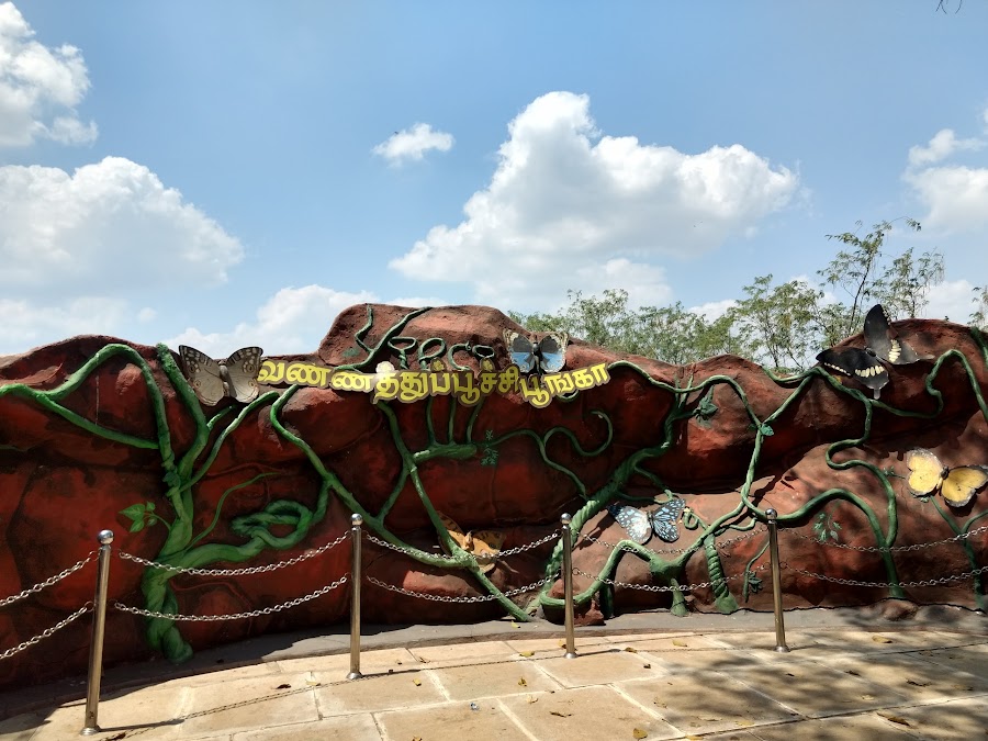 Butterfly Park - Photo 2