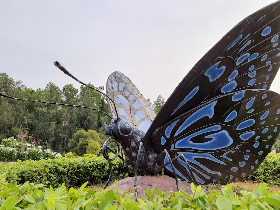 Butterfly Park - Photo 3