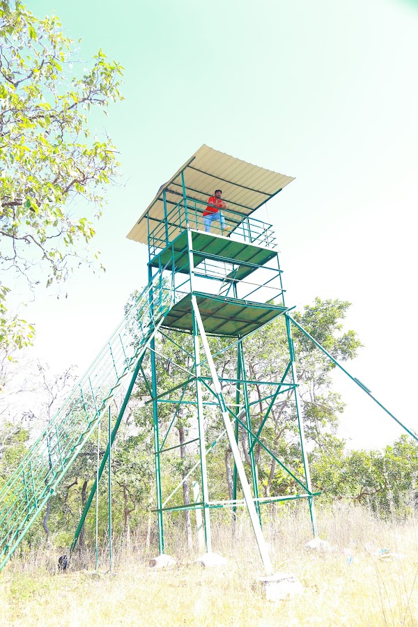Eturnagaram Wildlife Sanctuary - Photo 5
