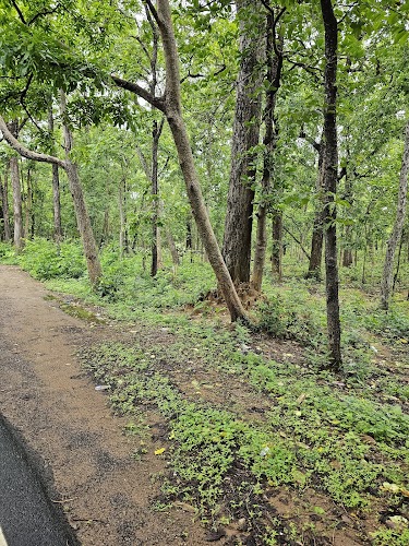 Eturnagaram Wildlife Sanctuary - Photo 2