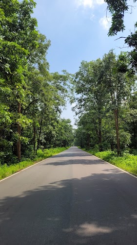 Eturnagaram Wildlife Sanctuary - Photo 4