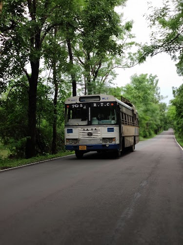 Eturnagaram Wildlife Sanctuary - Photo 3