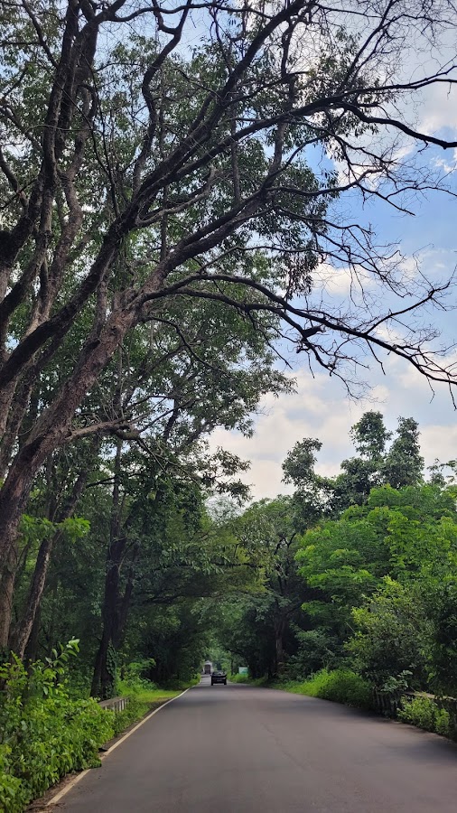 Eturnagaram Wildlife Sanctuary - Photo 6