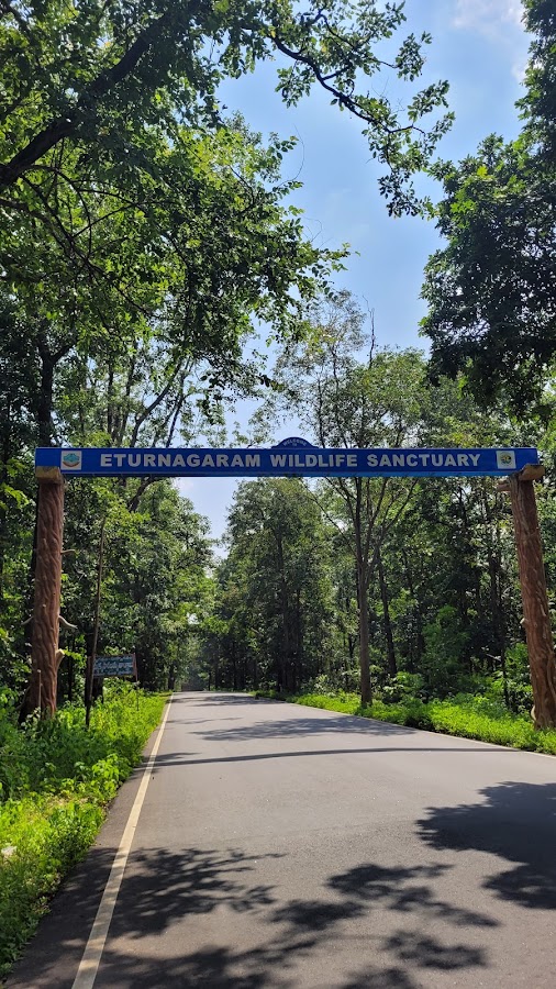 Eturnagaram Wildlife Sanctuary - Photo 8