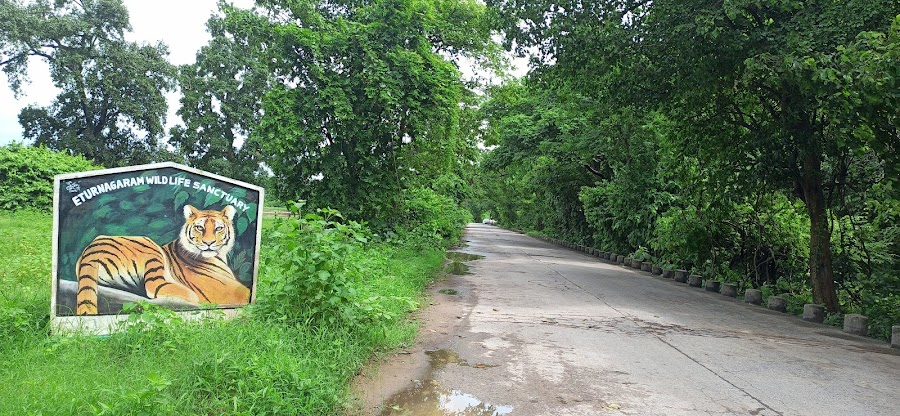 Eturnagaram Wildlife Sanctuary - Photo 7