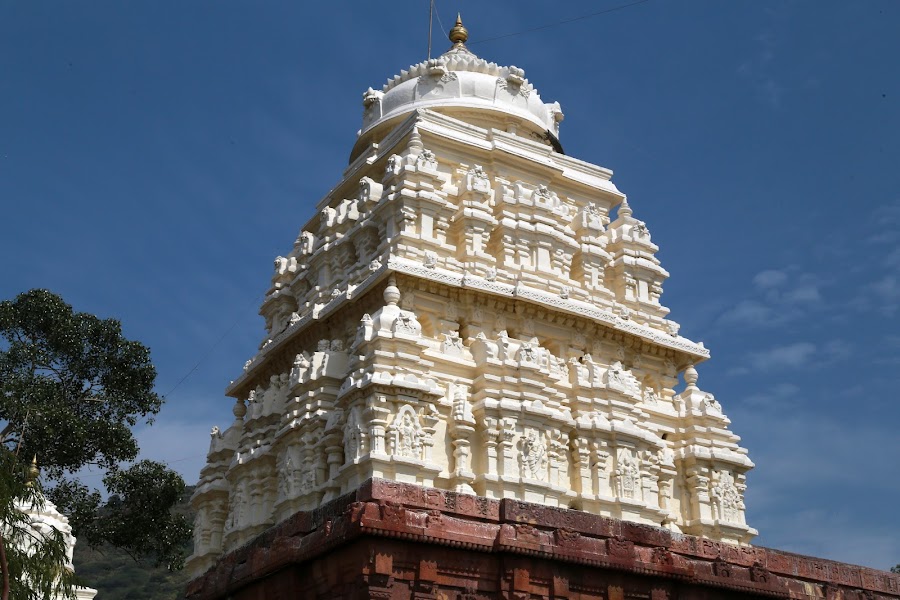 Sri Lakshmi Narasimha Swamy Temple, Mangalagiri - Photo 2
