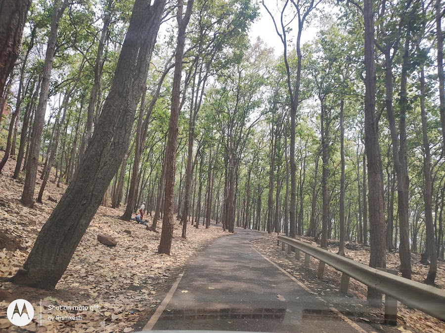 Achanakmar Wildlife Sanctuary - Photo 4