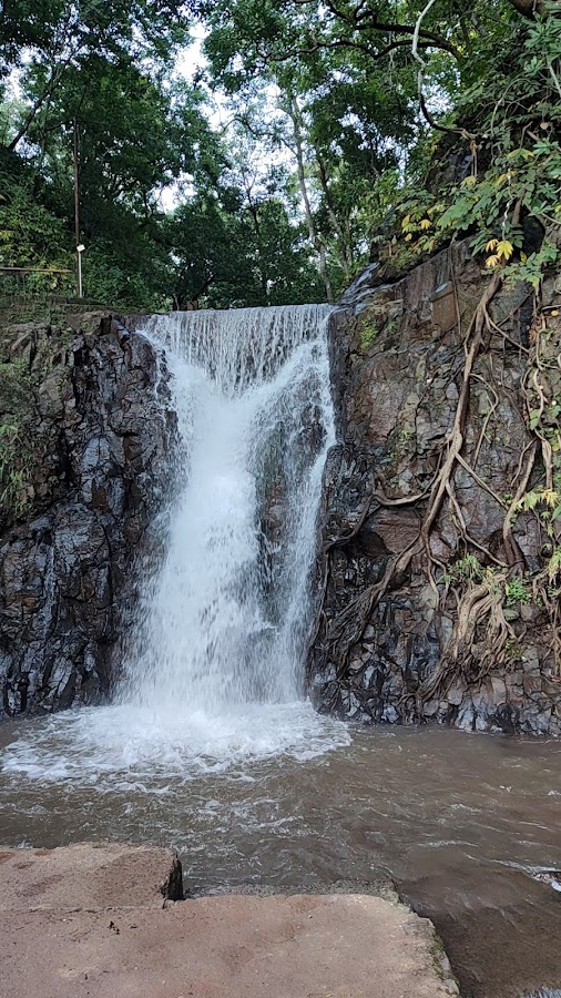 Achanakmar Wildlife Sanctuary - Photo 3